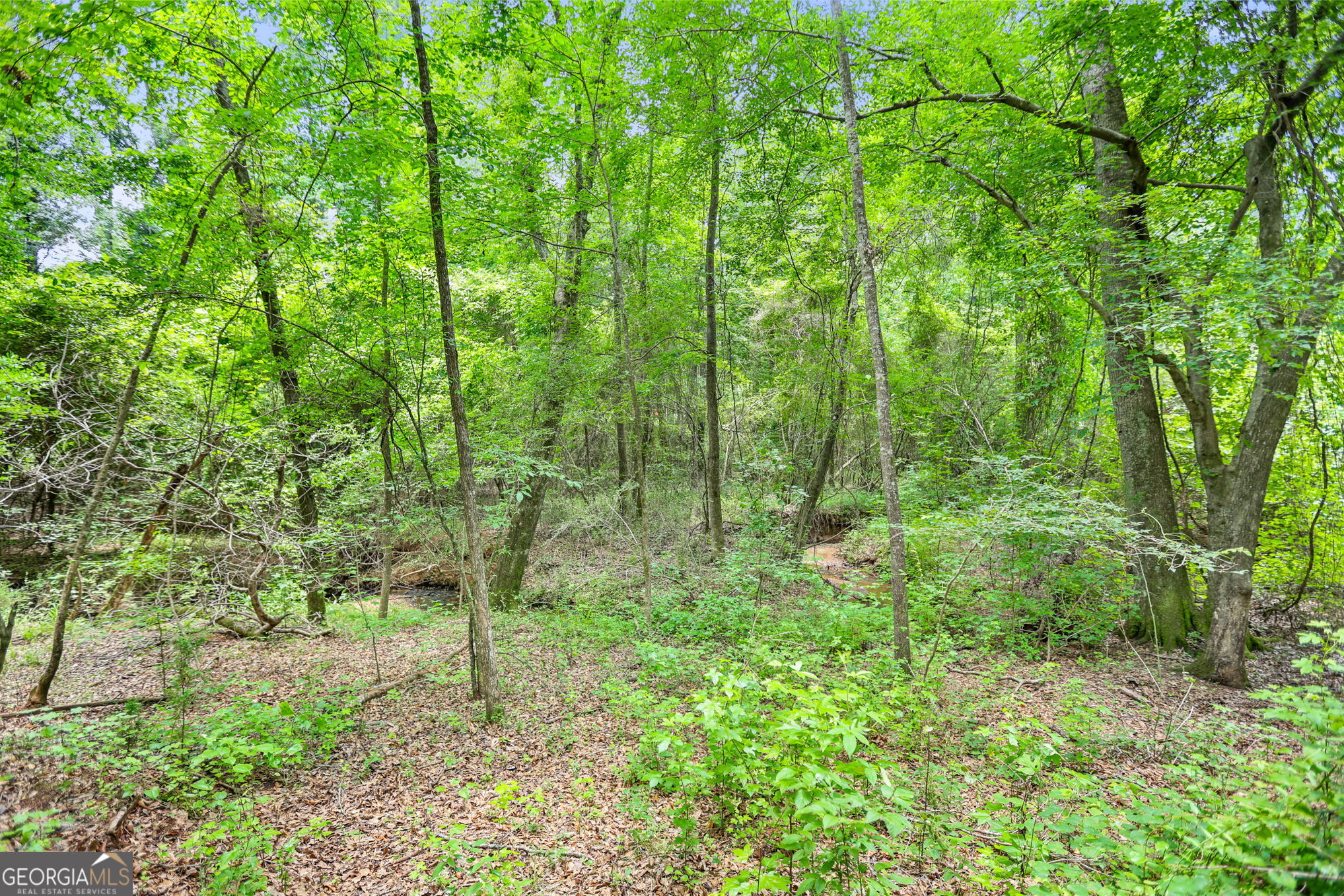 11.59-ac Hunt Road LaGrange, GA 30241 - Photo 34 of 34 a view of forest
