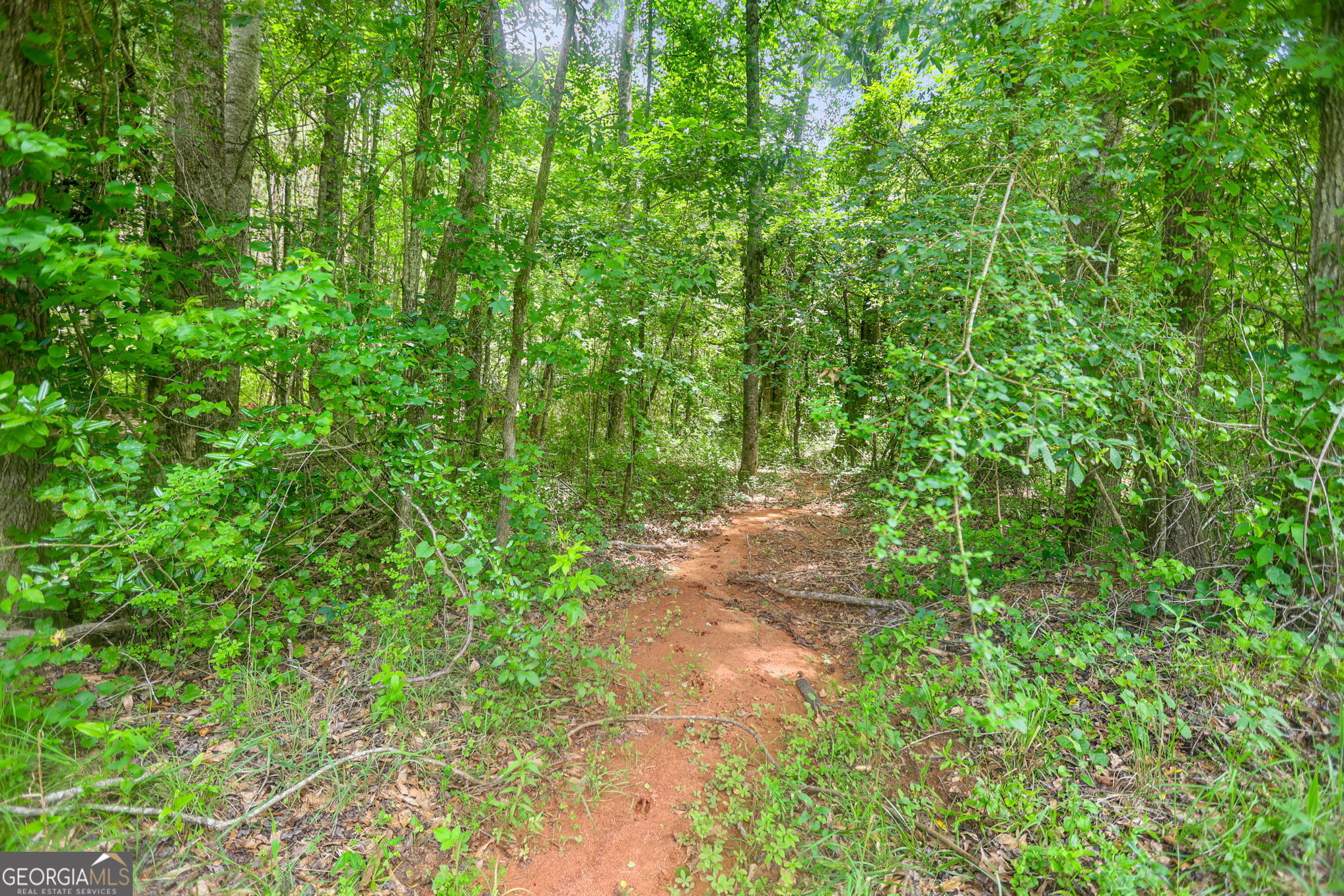 11.59-ac Hunt Road LaGrange, GA 30241 - Photo 5 of 34 a close up of a lush green forest