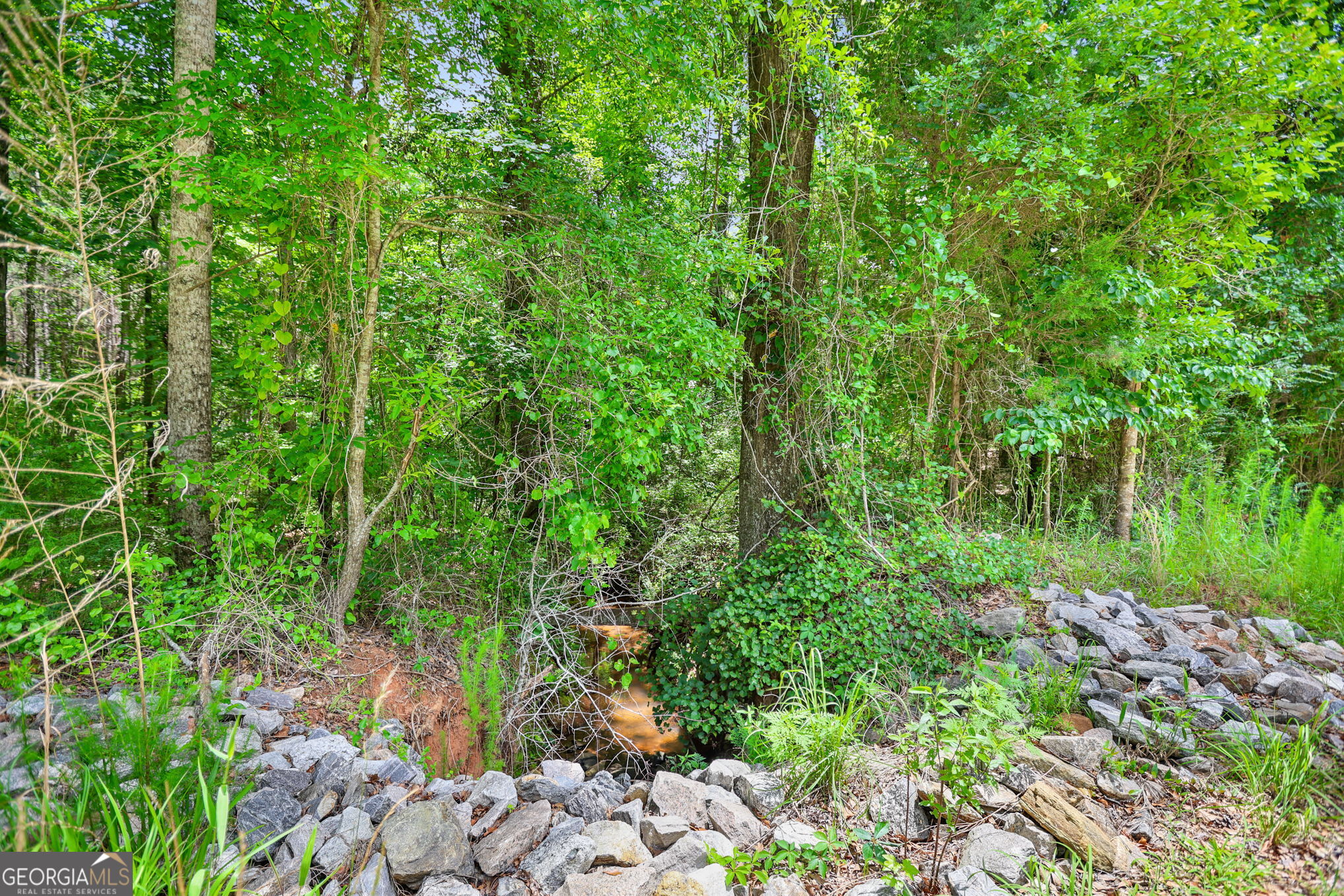 11.59-ac Hunt Road LaGrange, GA 30241 - Photo 6 of 34 a view of a garden