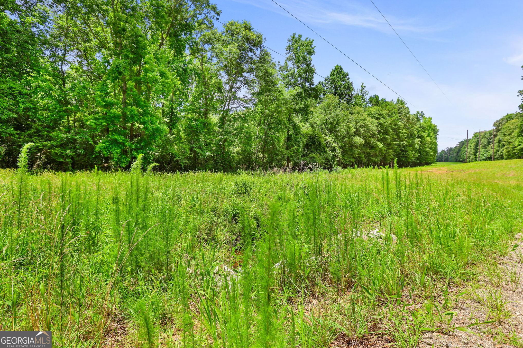 11.59-ac Hunt Road LaGrange, GA 30241 - Photo 7 of 34 a view of garden with trees in the background