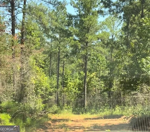 a view of a yard