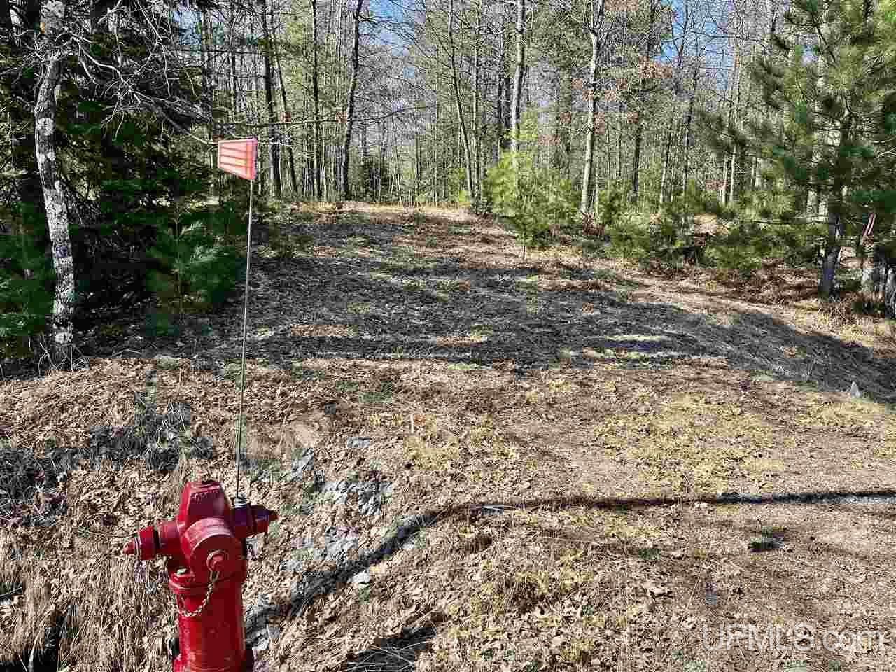 70 Old Highway 70 Road Minocqua, WI 54548 - Photo 3 of 11