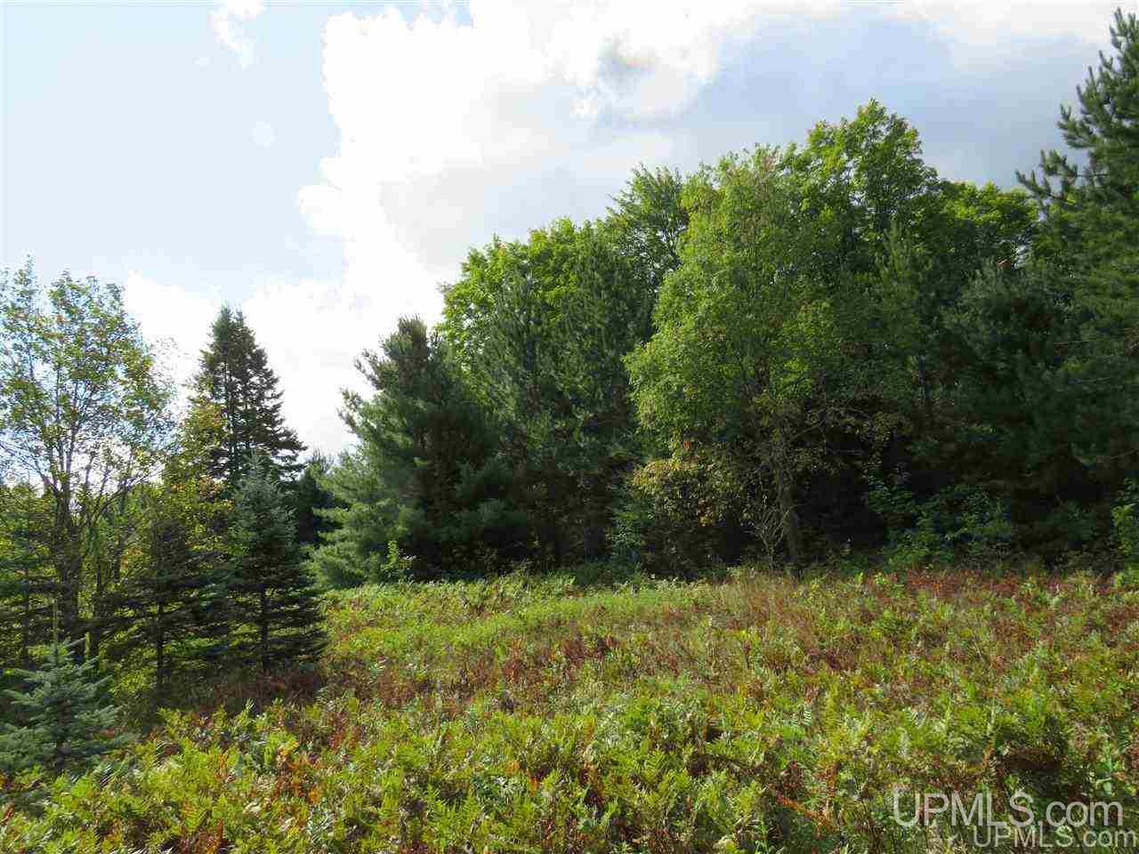 Tbd Off Lake On Three Road Trout Creek, MI 49967 - Photo 46 of 50