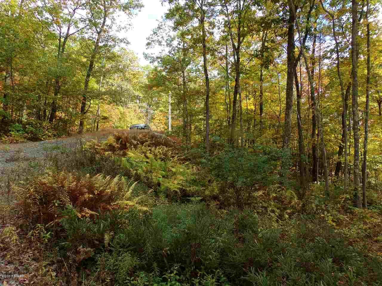 Lot 6.82 Lenni Lenape Road Narrowsburg, NY 12764 - Photo 16 of 17