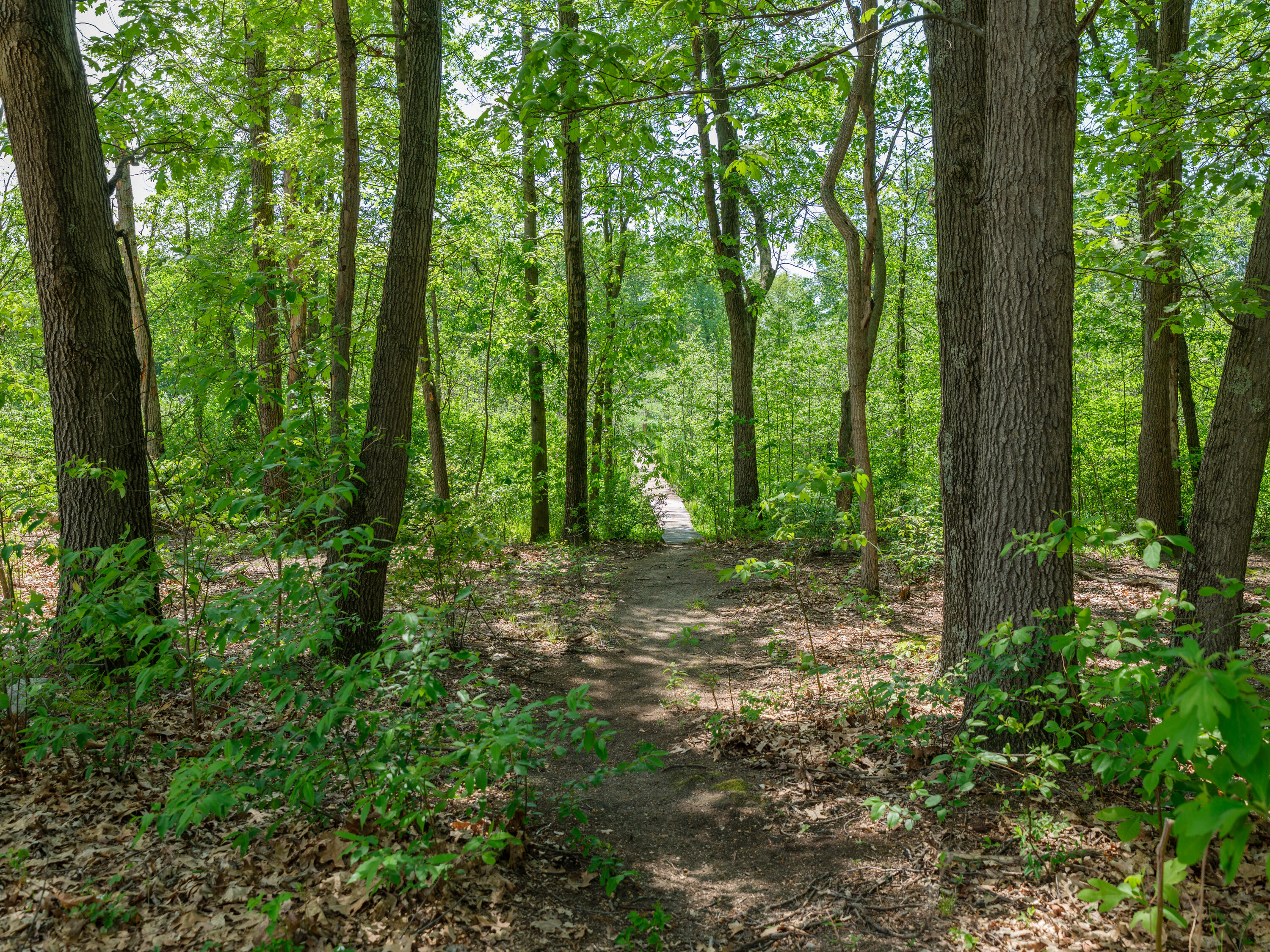 52120 Kern Drive Three Rivers, MI 49093 - Photo 31 of 35 52120 Kern Dr-131