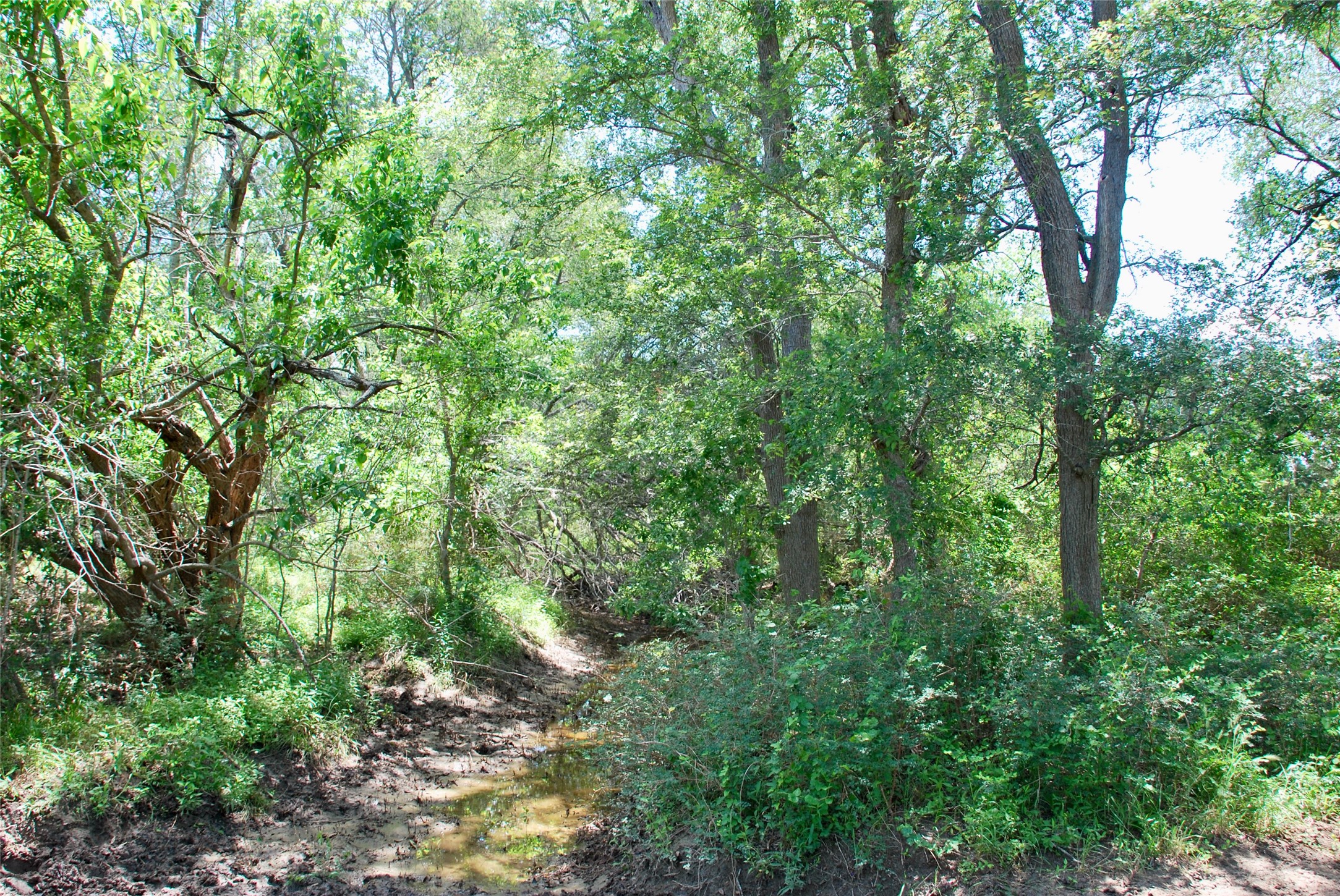 2340 Langdon Road Weimar, TX 78962 - Photo 14 of 26