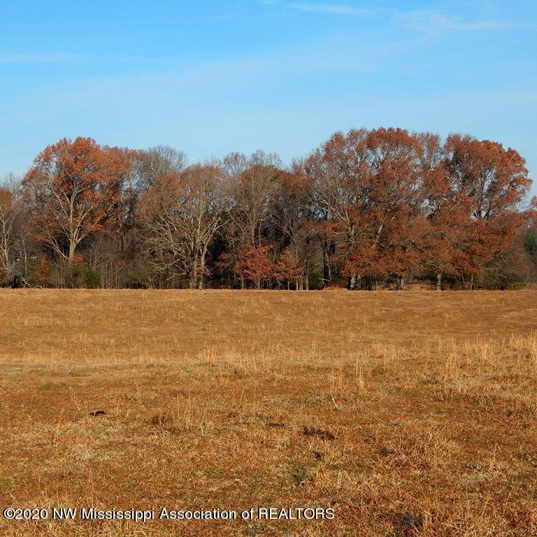 1560 Merry Hill Ranch Road Senatobia, MS 38668 - Photo 11 of 49 Gallery Image 11