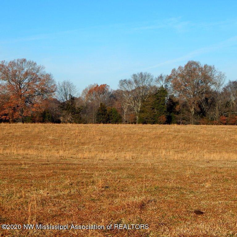 1560 Merry Hill Ranch Road Senatobia, MS 38668 - Photo 12 of 49 Gallery Image 12