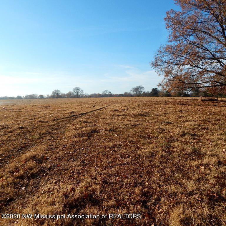 1560 Merry Hill Ranch Road Senatobia, MS 38668 - Photo 15 of 49 Gallery Image 15