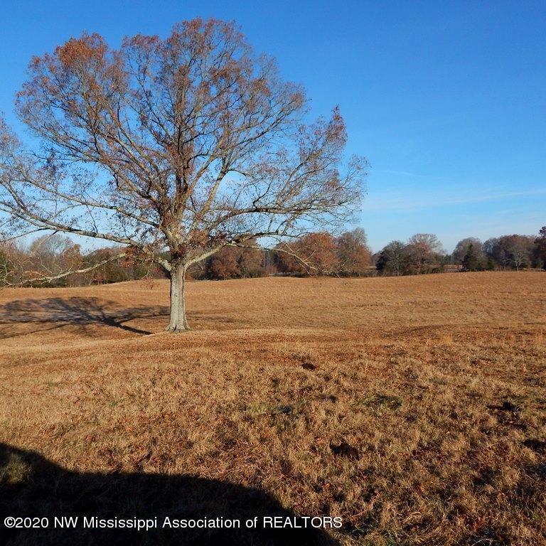 1560 Merry Hill Ranch Road Senatobia, MS 38668 - Photo 16 of 49 Gallery Image 16
