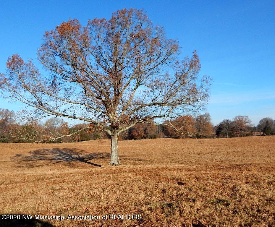 1560 Merry Hill Ranch Road Senatobia, MS 38668 - Photo 17 of 49 Gallery Image 17