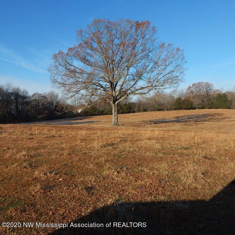 1560 Merry Hill Ranch Road Senatobia, MS 38668 - Photo 18 of 49 Gallery Image 18