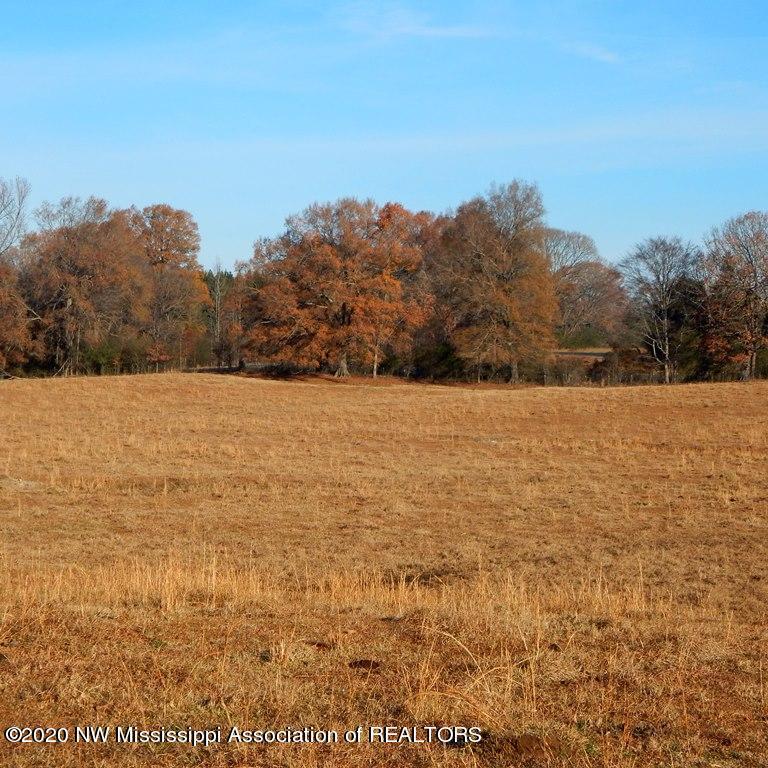1560 Merry Hill Ranch Road Senatobia, MS 38668 - Photo 19 of 49 Gallery Image 19