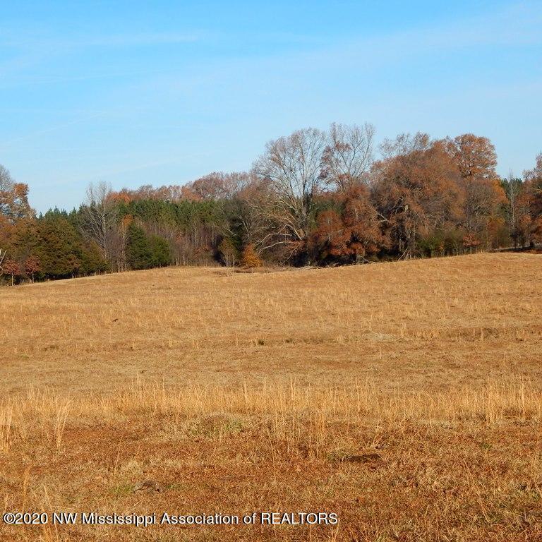1560 Merry Hill Ranch Road Senatobia, MS 38668 - Photo 20 of 49 Gallery Image 20