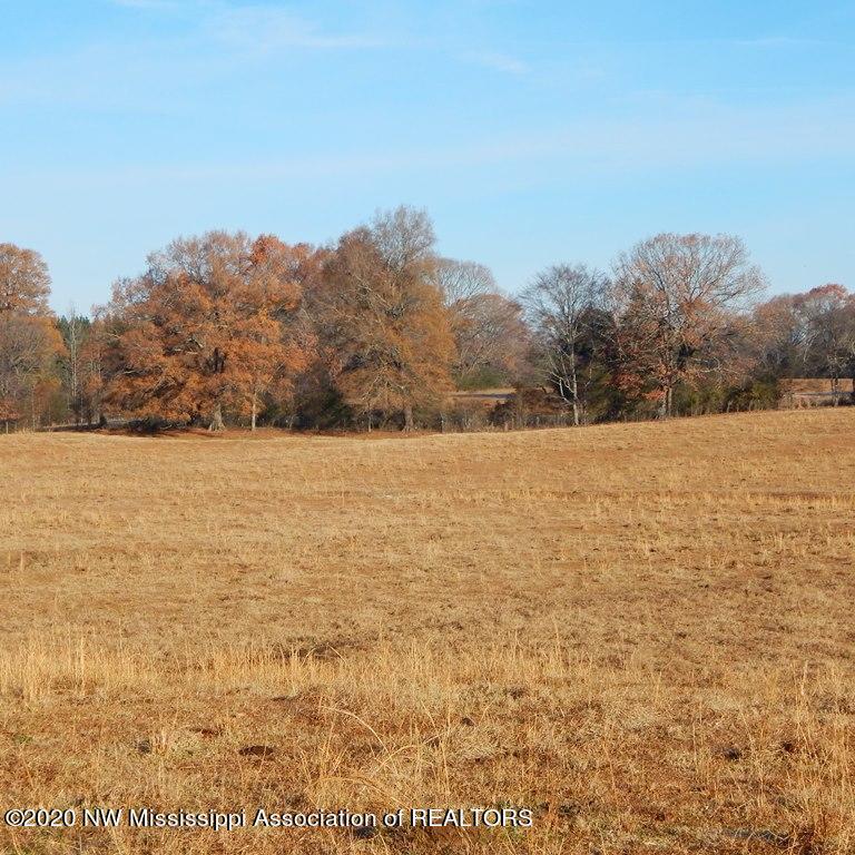 1560 Merry Hill Ranch Road Senatobia, MS 38668 - Photo 21 of 49 Gallery Image 21