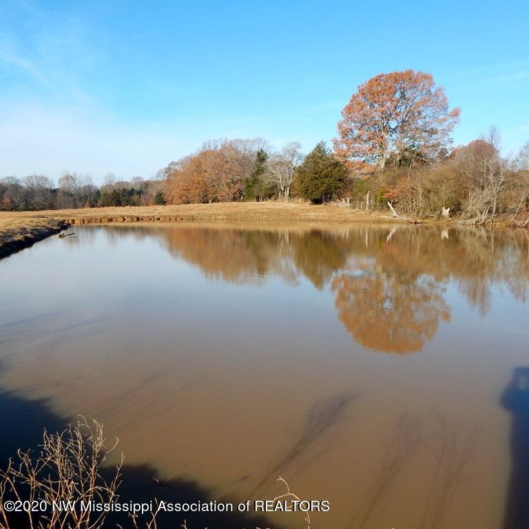 1560 Merry Hill Ranch Road Senatobia, MS 38668 - Photo 22 of 49 Gallery Image 22