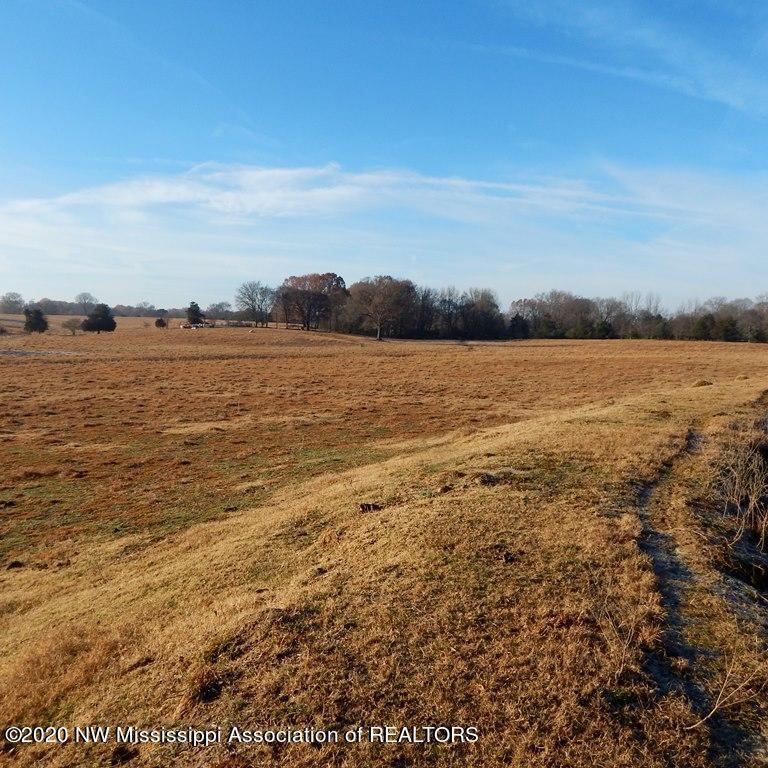 1560 Merry Hill Ranch Road Senatobia, MS 38668 - Photo 23 of 49 Gallery Image 23