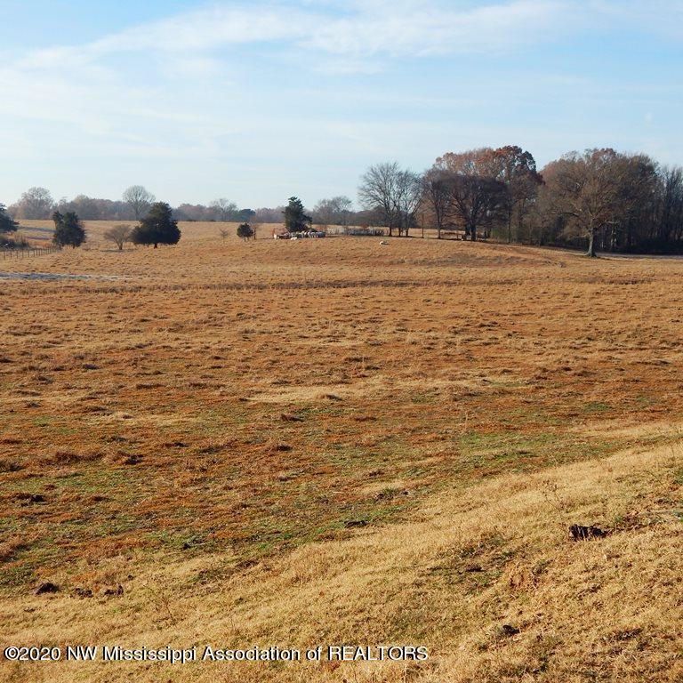 1560 Merry Hill Ranch Road Senatobia, MS 38668 - Photo 25 of 49 Gallery Image 25