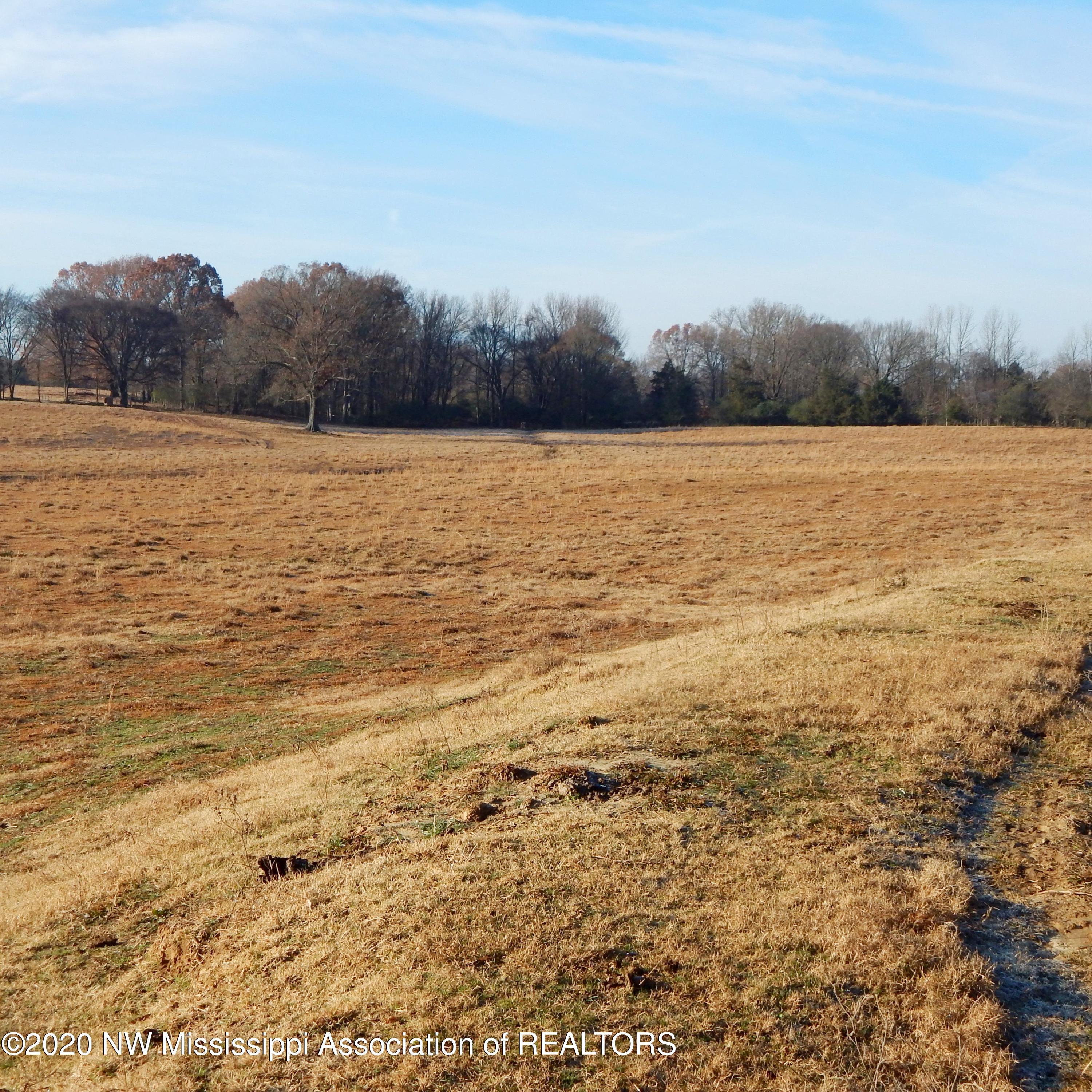 1560 Merry Hill Ranch Road Senatobia, MS 38668 - Photo 26 of 49 Gallery Image 26