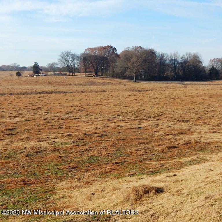 1560 Merry Hill Ranch Road Senatobia, MS 38668 - Photo 27 of 49 Gallery Image 27