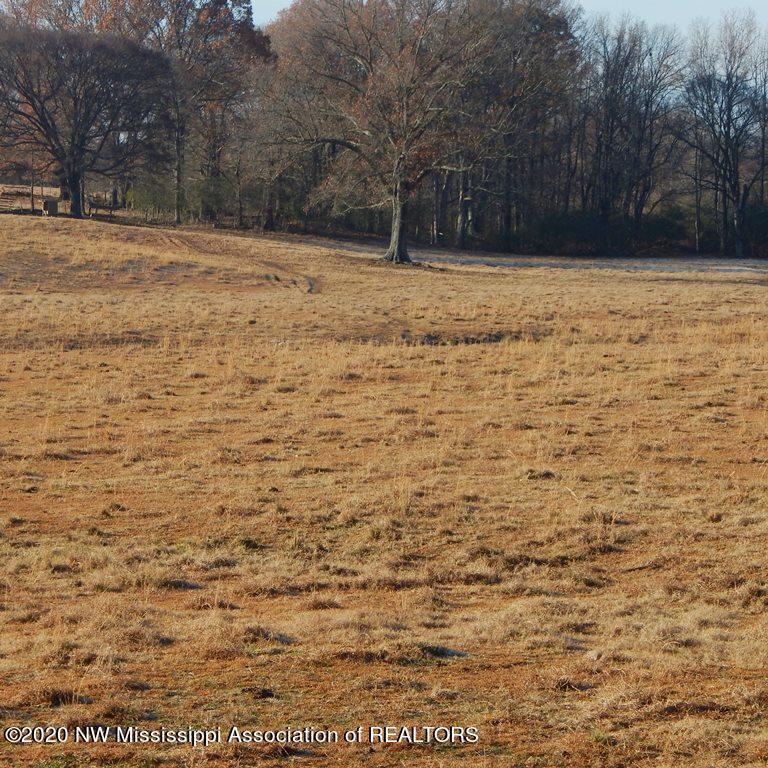 1560 Merry Hill Ranch Road Senatobia, MS 38668 - Photo 29 of 49 Gallery Image 29