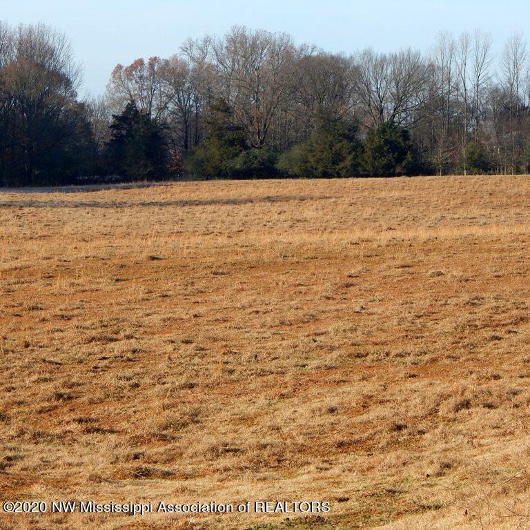 1560 Merry Hill Ranch Road Senatobia, MS 38668 - Photo 30 of 49 Gallery Image 30