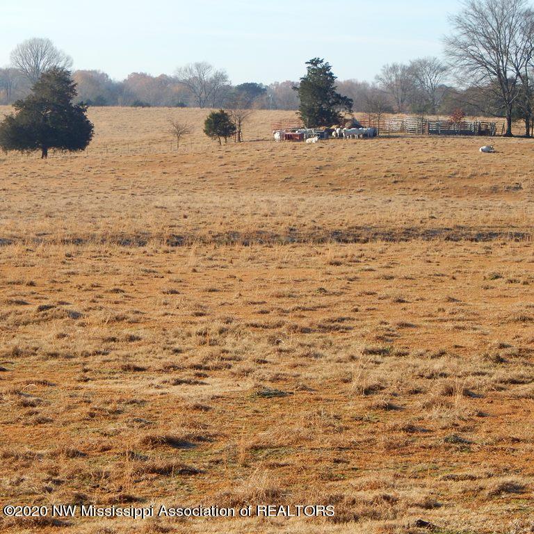 1560 Merry Hill Ranch Road Senatobia, MS 38668 - Photo 31 of 49 Gallery Image 31