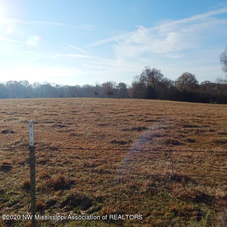 1560 Merry Hill Ranch Road Senatobia, MS 38668 - Photo 32 of 49 Gallery Image 32