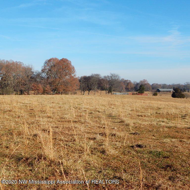 1560 Merry Hill Ranch Road Senatobia, MS 38668 - Photo 33 of 49 Gallery Image 33
