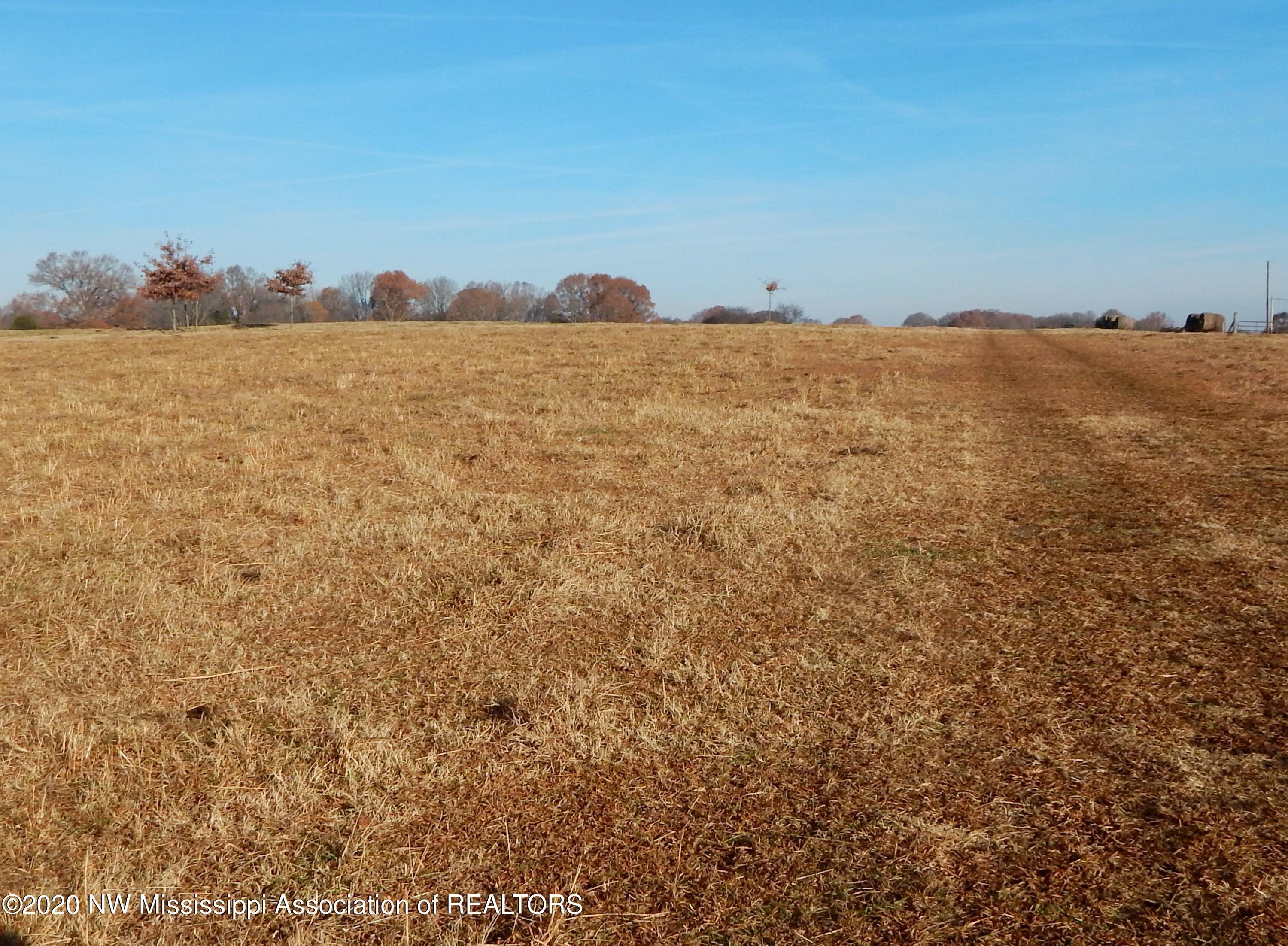 1560 Merry Hill Ranch Road Senatobia, MS 38668 - Photo 35 of 49 Gallery Image 35