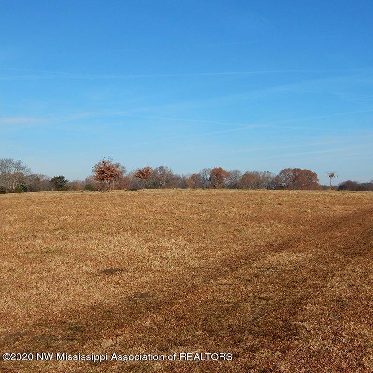1560 Merry Hill Ranch Road Senatobia, MS 38668 - Photo 36 of 49 Gallery Image 36