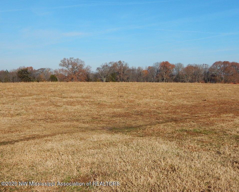 1560 Merry Hill Ranch Road Senatobia, MS 38668 - Photo 38 of 49 Gallery Image 38