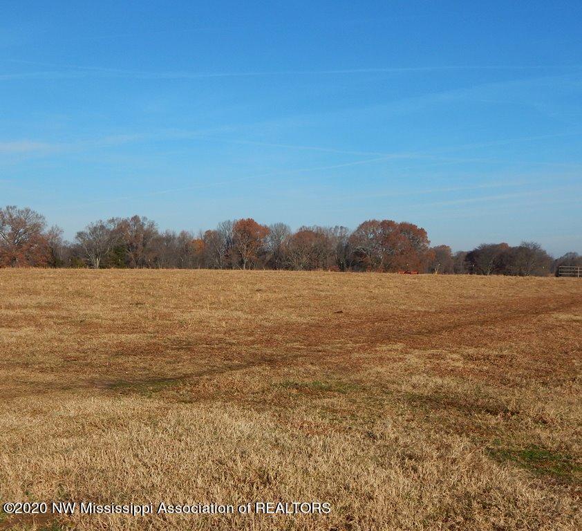 1560 Merry Hill Ranch Road Senatobia, MS 38668 - Photo 39 of 49 Gallery Image 39