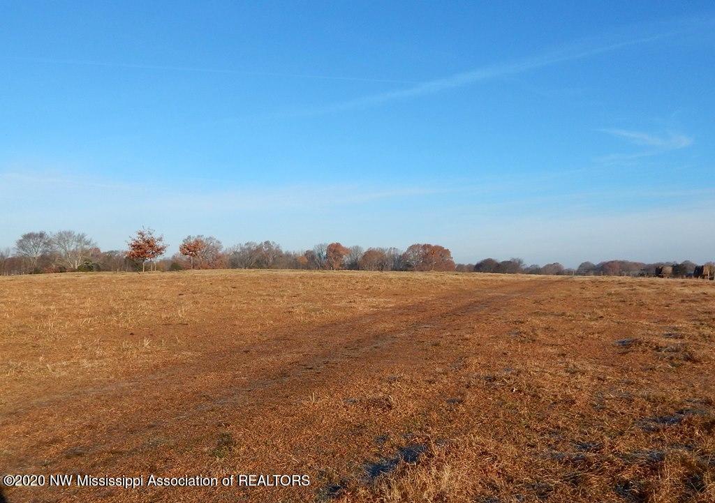 1560 Merry Hill Ranch Road Senatobia, MS 38668 - Photo 4 of 49 Gallery Image 4