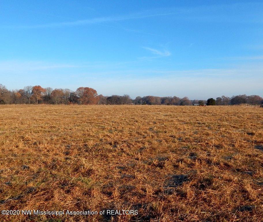 1560 Merry Hill Ranch Road Senatobia, MS 38668 - Photo 5 of 49 Gallery Image 5