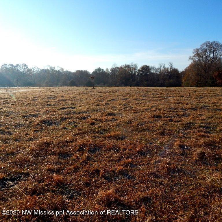 1560 Merry Hill Ranch Road Senatobia, MS 38668 - Photo 6 of 49 Gallery Image 6