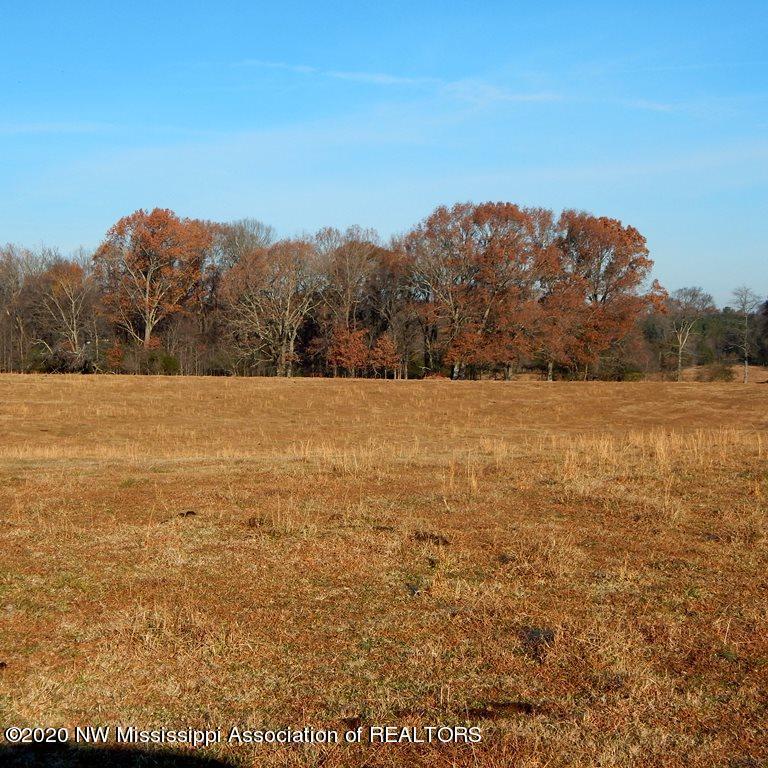 1560 Merry Hill Ranch Road Senatobia, MS 38668 - Photo 7 of 49 Gallery Image 7
