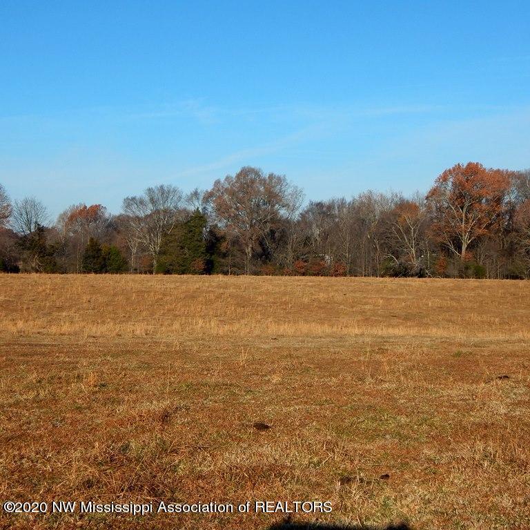 1560 Merry Hill Ranch Road Senatobia, MS 38668 - Photo 8 of 49 Gallery Image 8