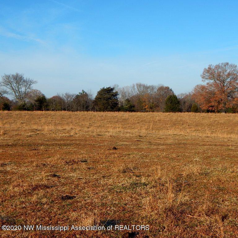 1560 Merry Hill Ranch Road Senatobia, MS 38668 - Photo 9 of 49 Gallery Image 9