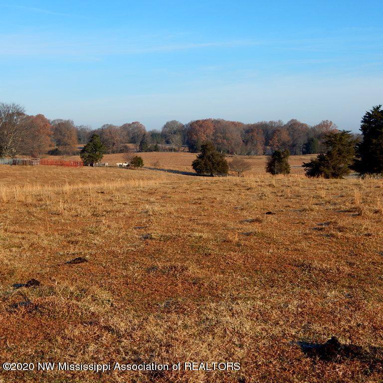 1560 Merry Hill Ranch Road Senatobia, MS 38668 - Photo 10 of 49 Gallery Image 10