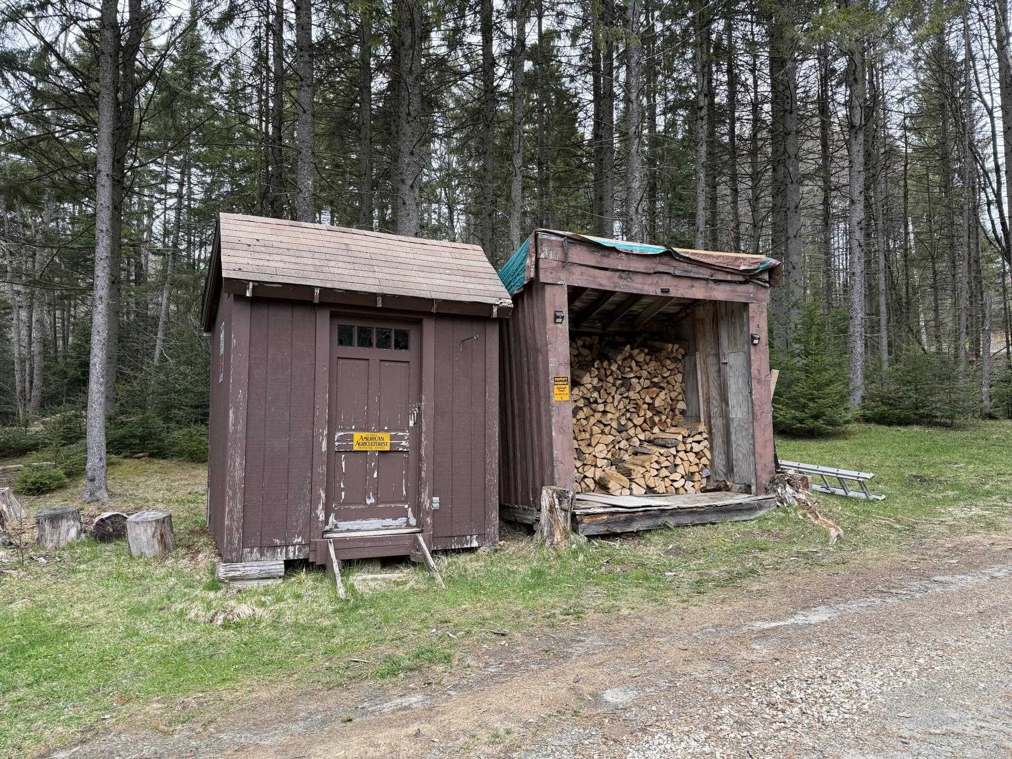 534 Curtis Road Morgan, VT 05853 - Photo 5 of 16