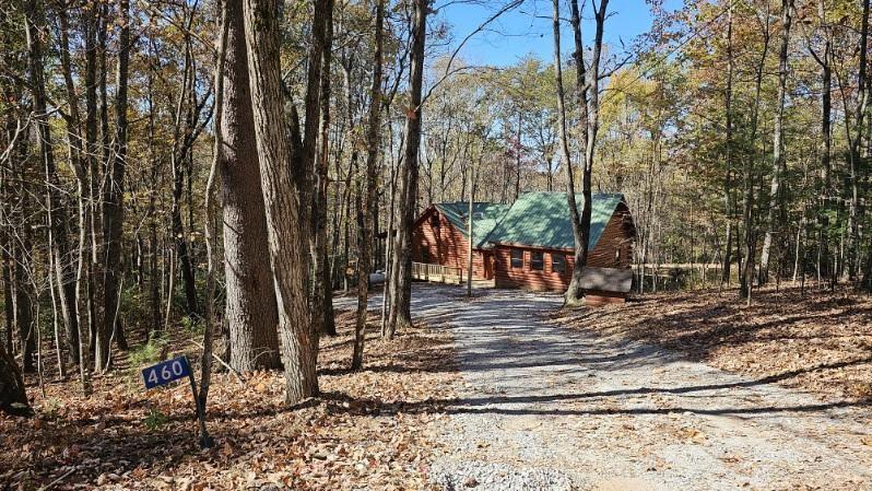 460 Laurel Crossing Blue Ridge, GA 30513 - Photo 4 of 17 Gallery Image 4