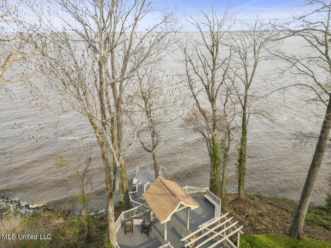 511 Roses Bluff Drive Madison, MS 39110 - Photo 50 of 54 511 Roses bluff Drone final-5