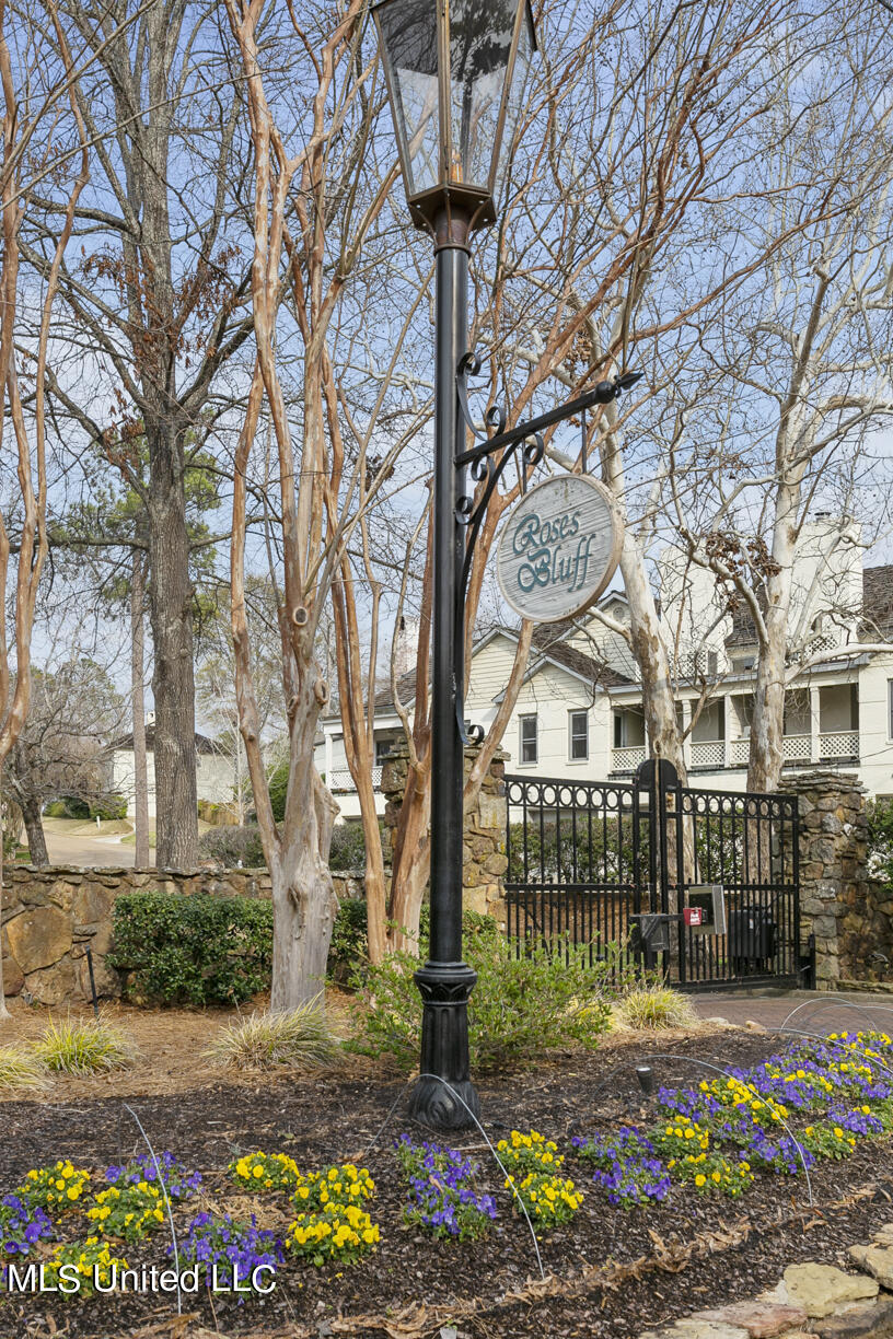 511 Roses Bluff Drive Madison, MS 39110 - Photo 54 of 54 511 Roses Bluff final-49