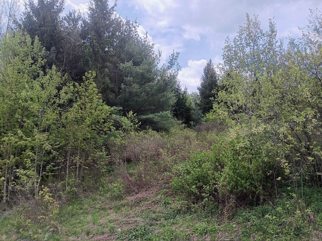 902 West Hill Road Worcester, NY 12197 - Photo 5 of 10