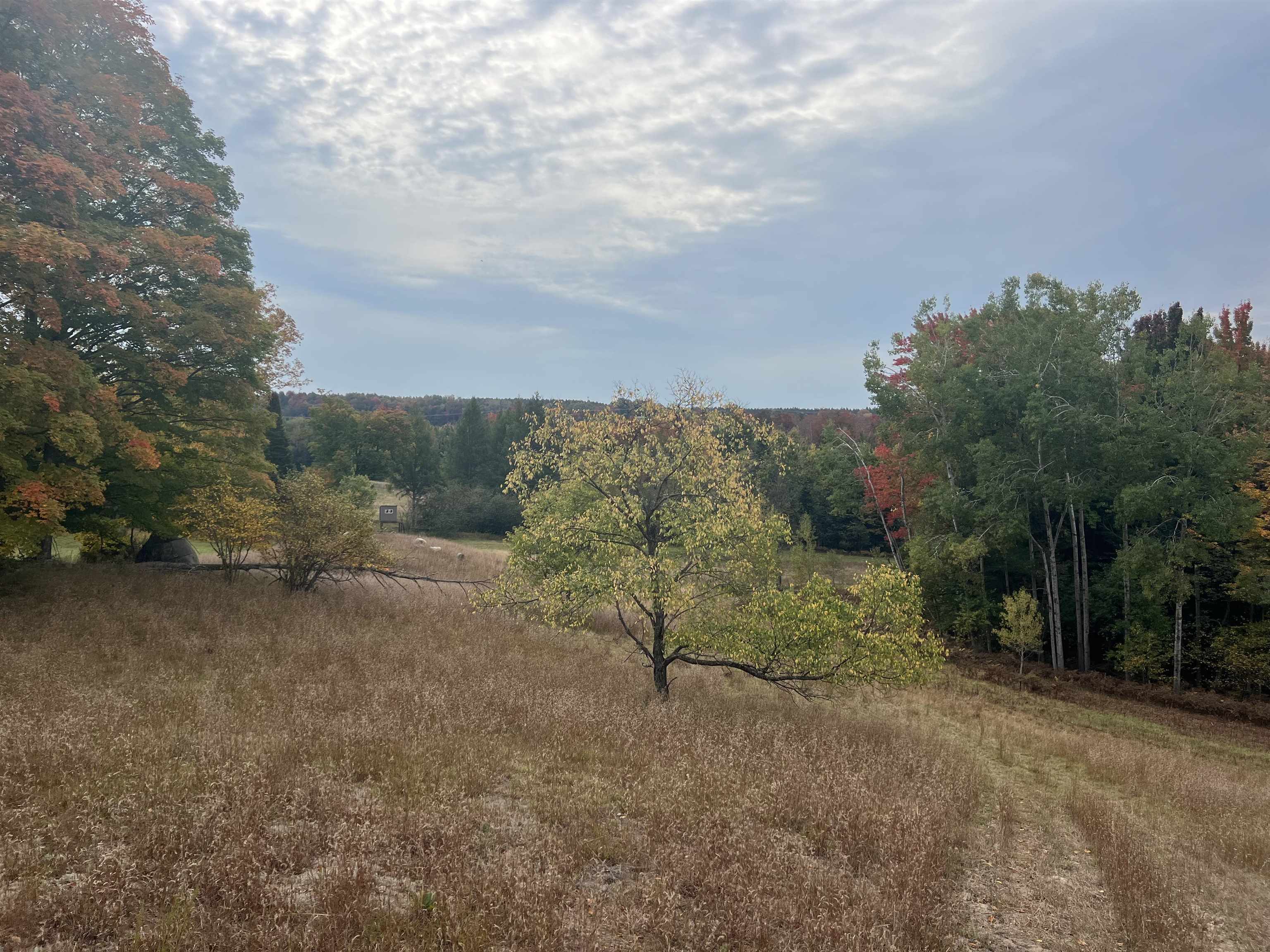 90 A Ridgeview Drive Kalkaska, MI 49646 - Photo 56 of 75
