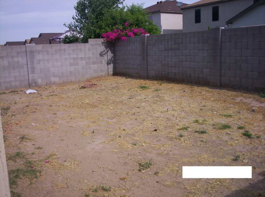 11526 West Charter Oak Road El Mirage, AZ 85335 - Photo 5 of 5 Back Yard