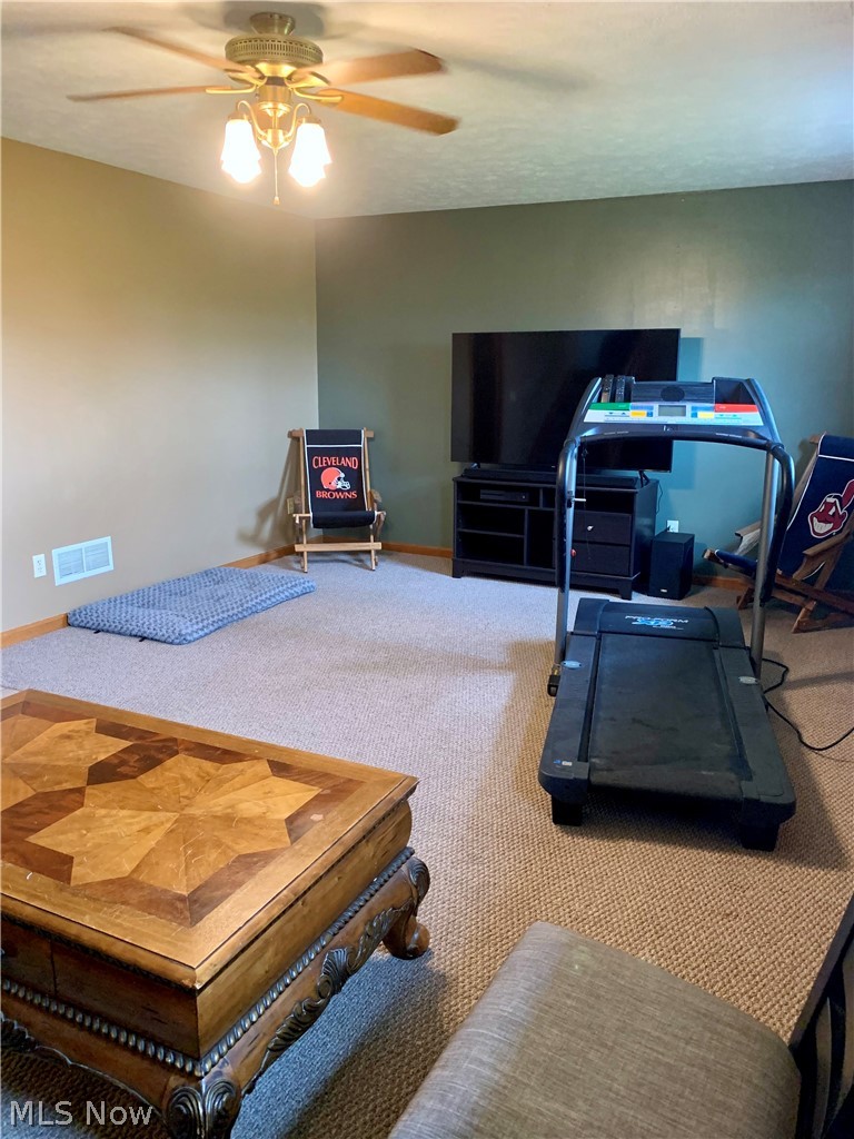 39160 Smith Road Litchfield, OH 44253 - Photo 15 of 34 Gallery Image 15