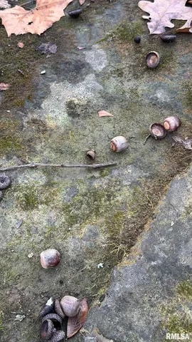 an aerial view of residential house with parking space