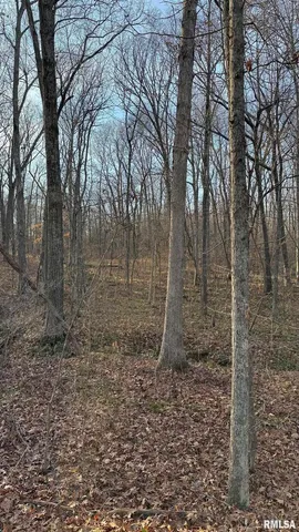 a view of outdoor space with lots of trees